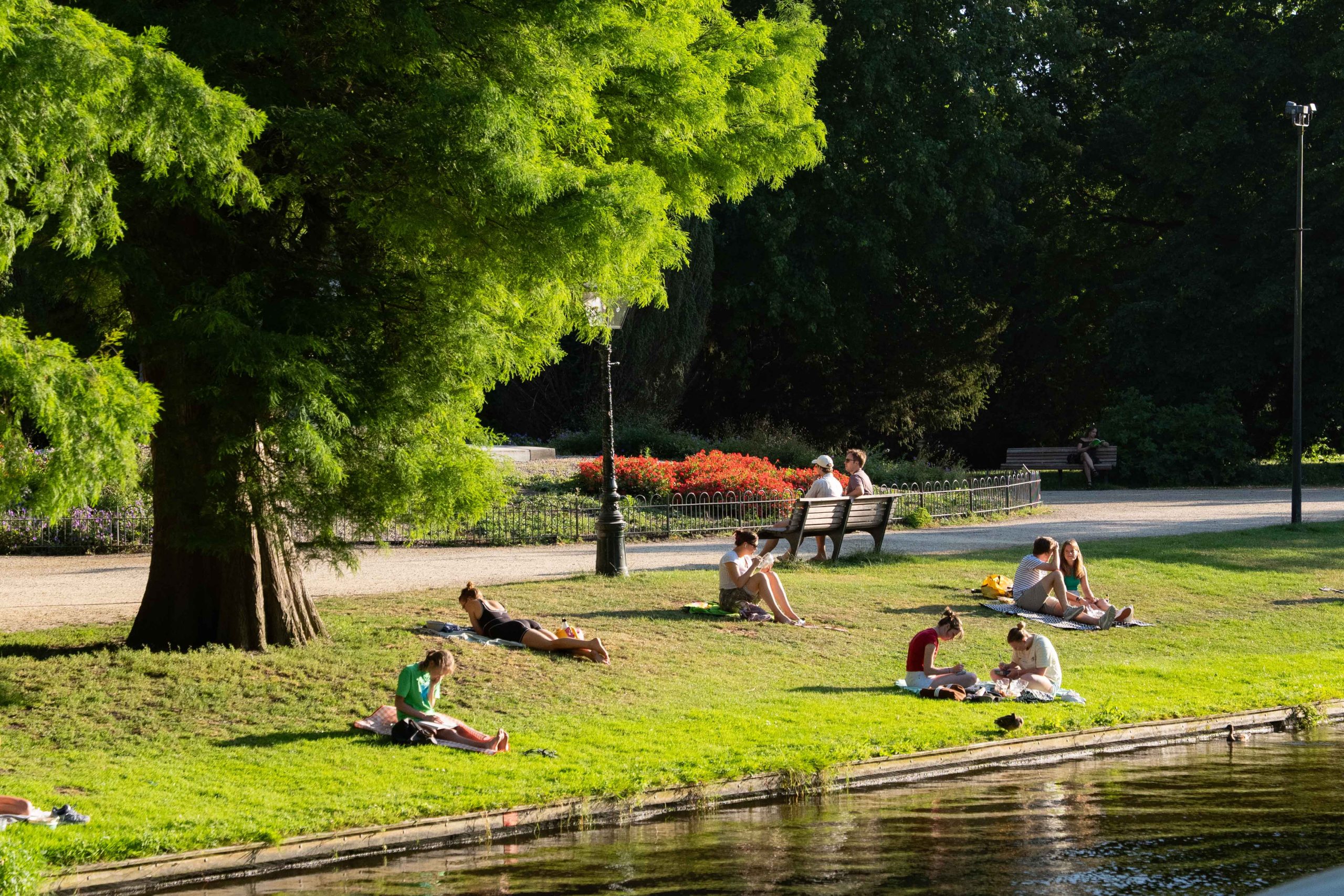 Van der werfpark Leiden